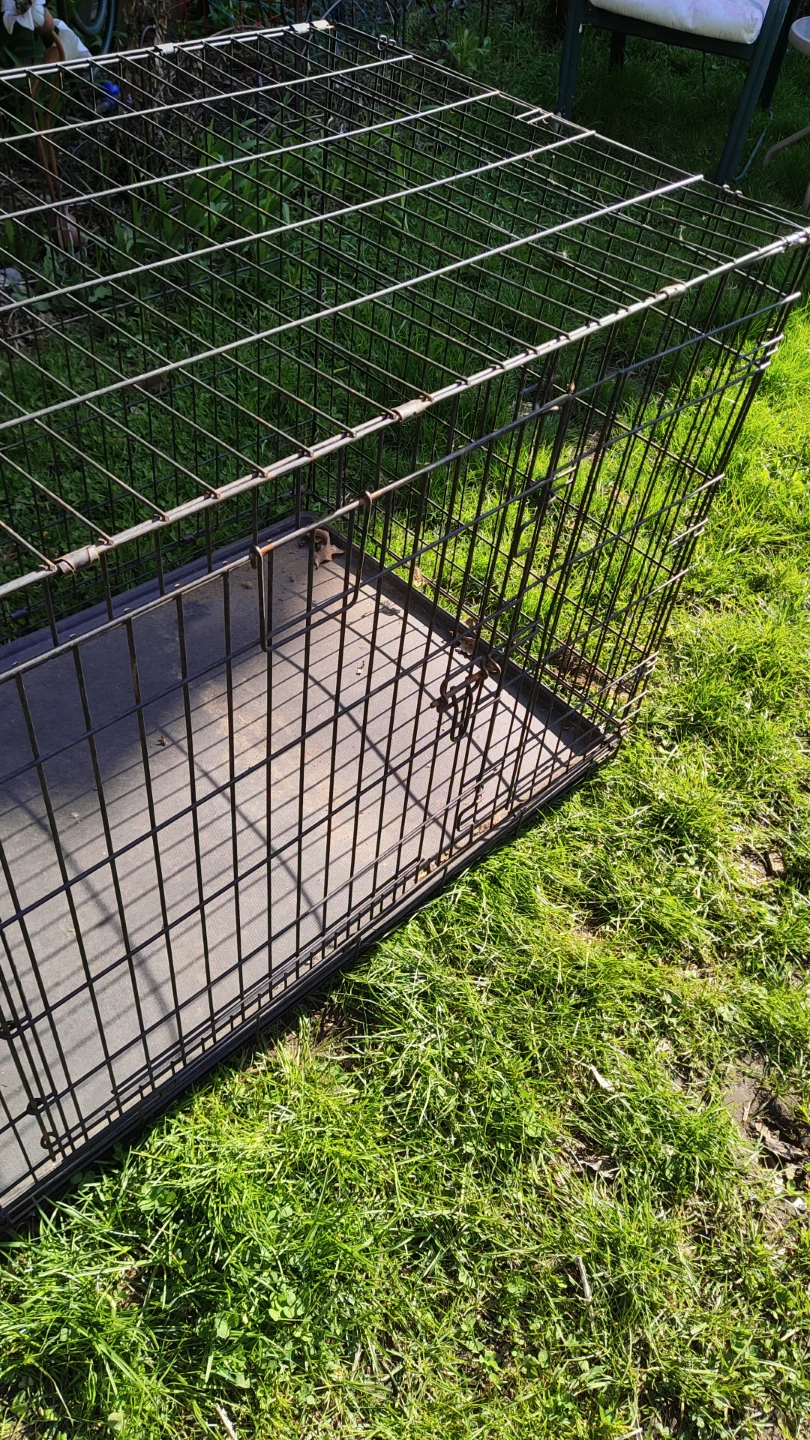 Wire Dog Crate with Tray extra large - photo 3