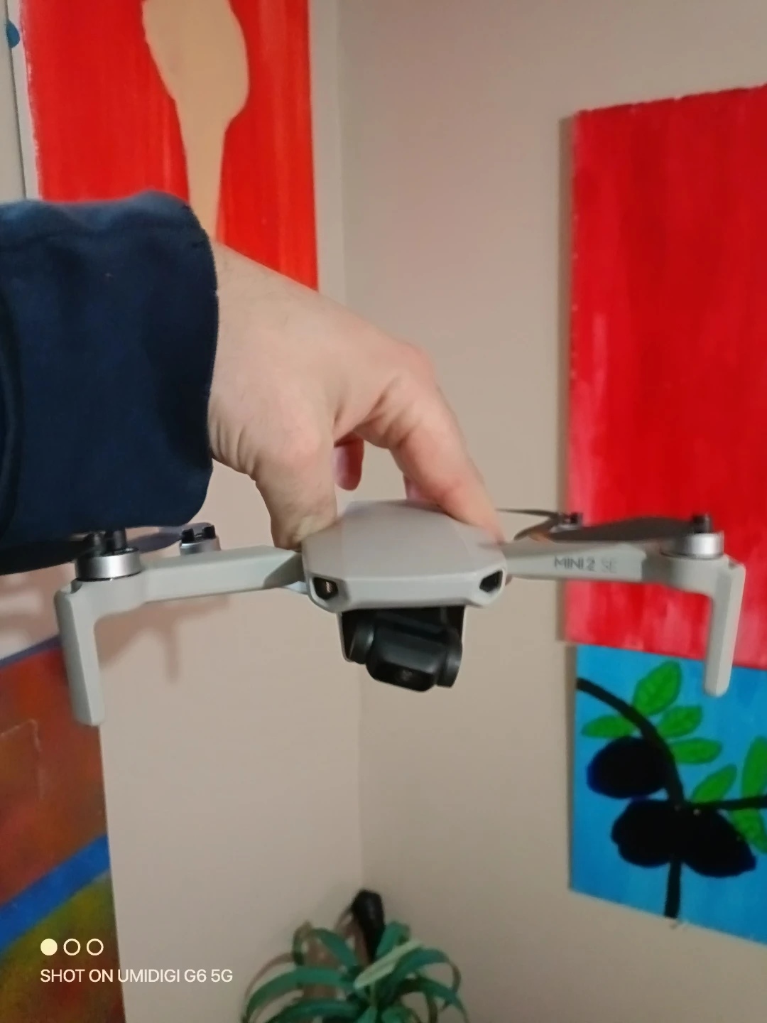 DJI Mini 2 SE Drone