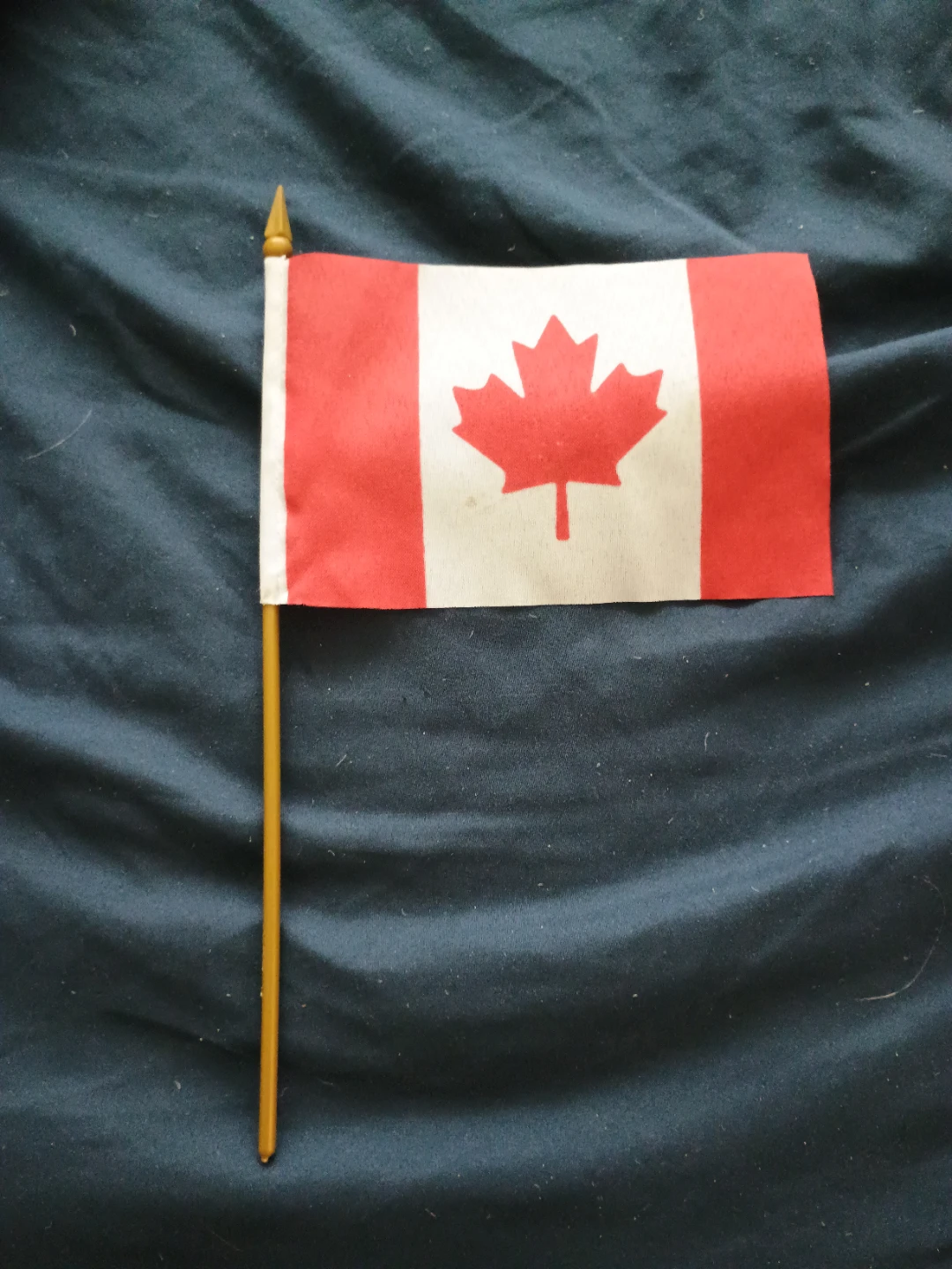 Mini Canadian Flag on Stick