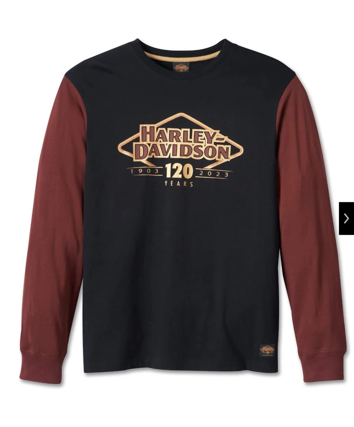 Harley-Davidson 120th Anniversary Colorblock Long Sleeve Tee