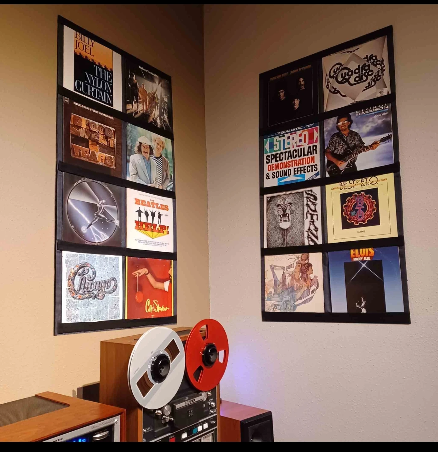 Record Roots Wall Display for Vinyl Records