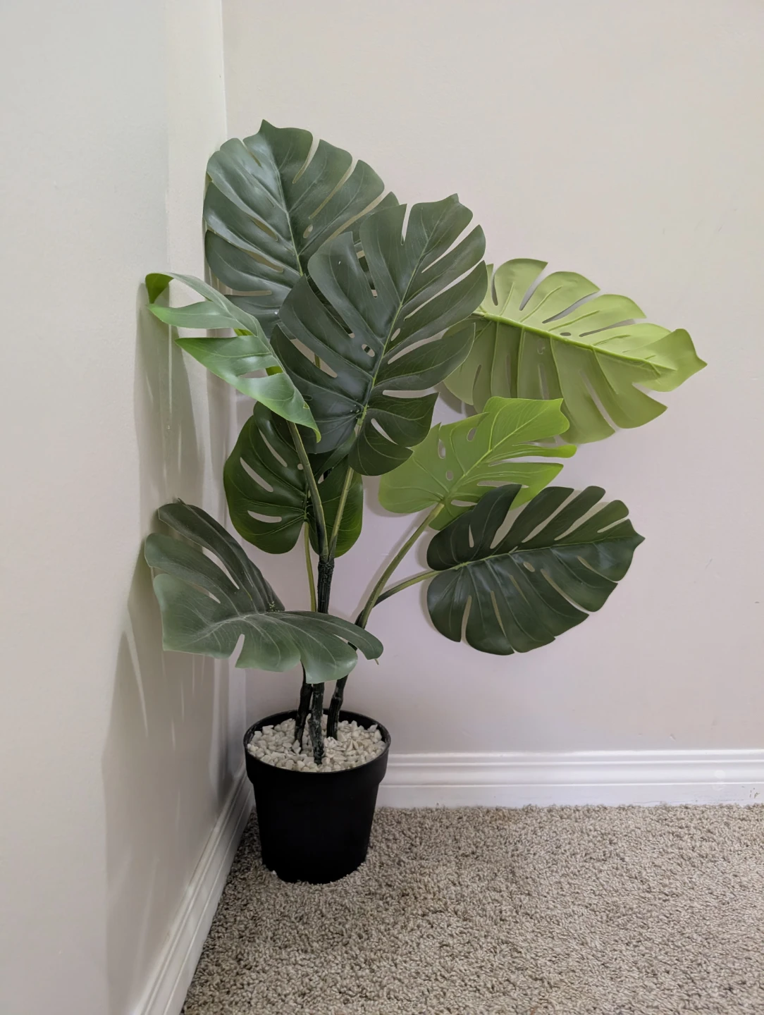 Naturae Decor 23.0" Monstera Plant - photo 3