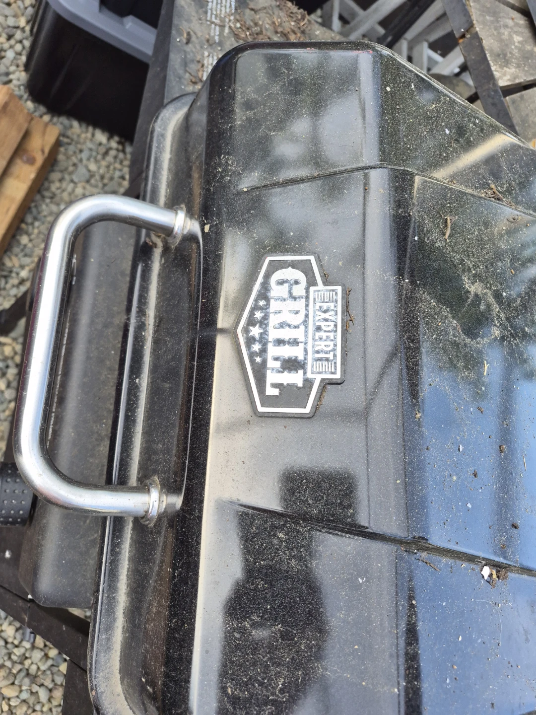 Expert Grill Portable Propane Gas Grill