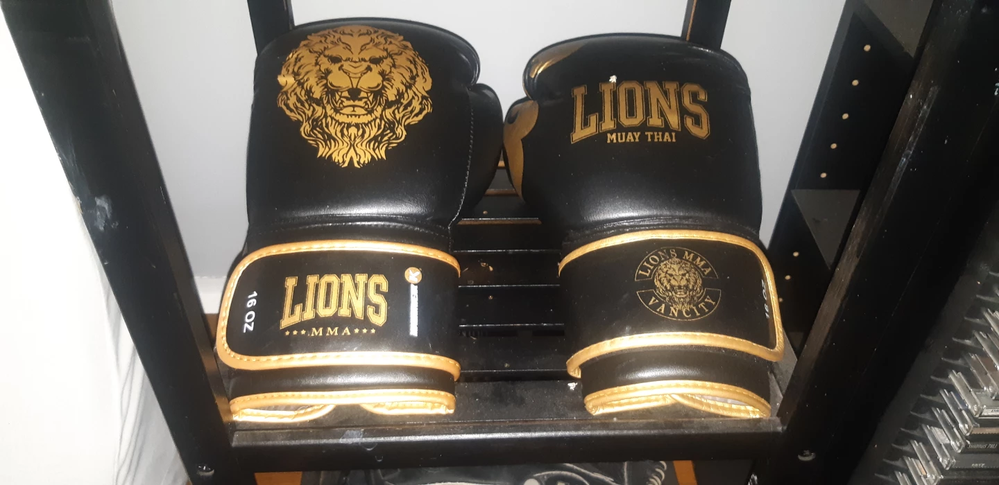 Lions Muay Thai MMA Training Gloves