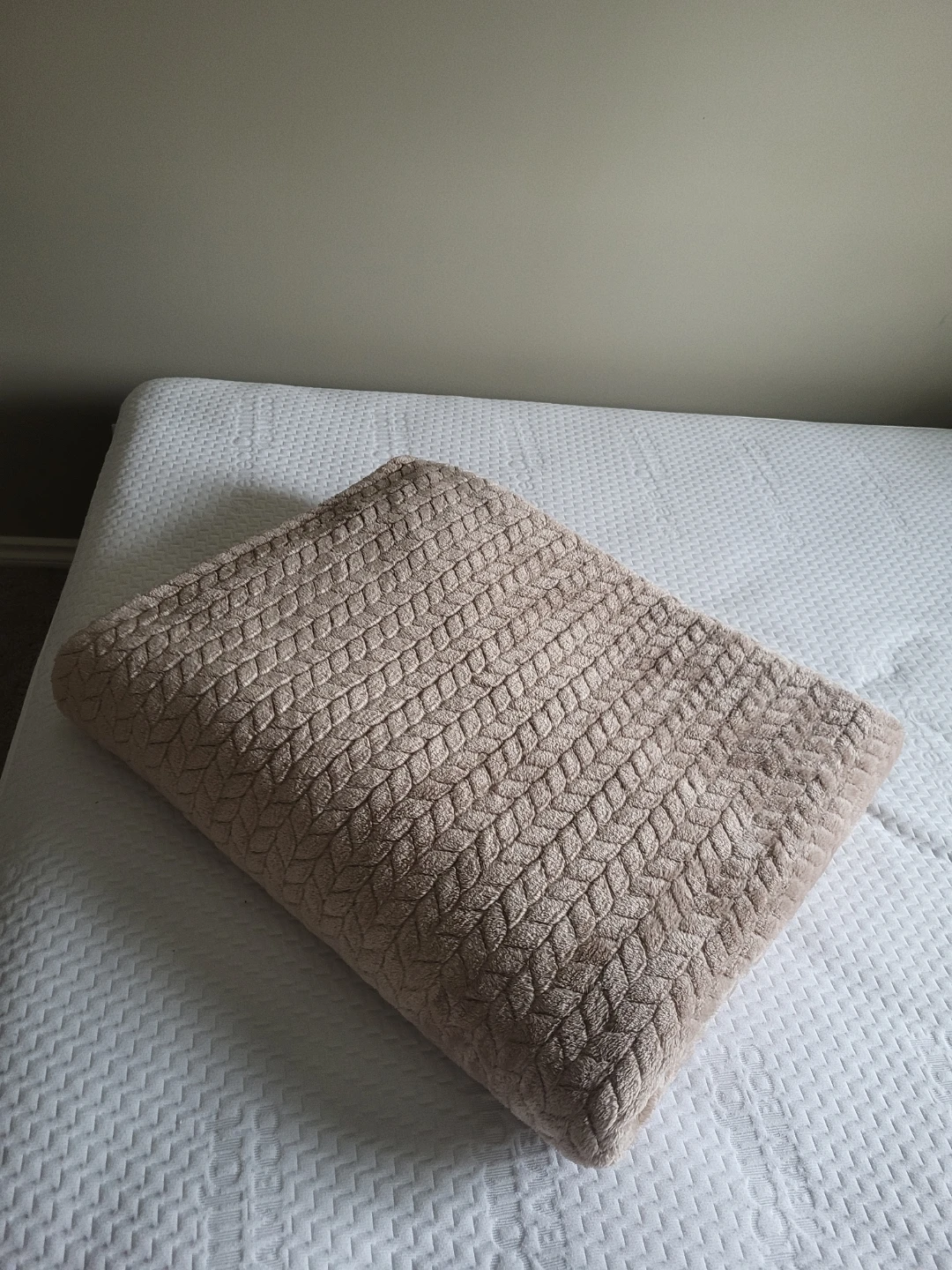 Cozy Fleece Throw Blanket - photo 3