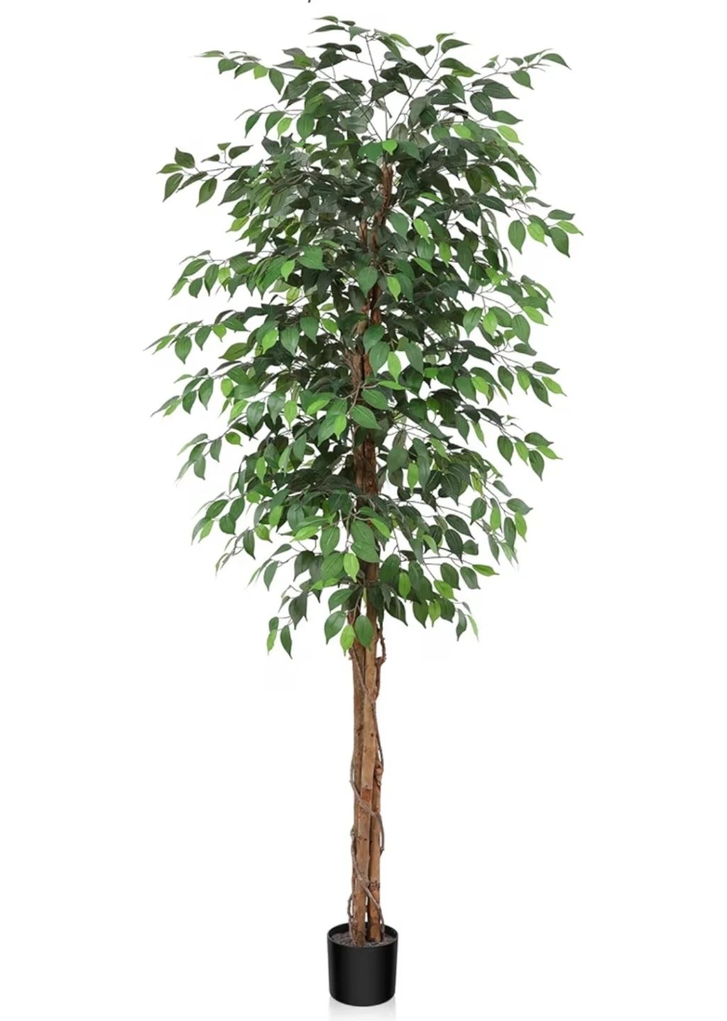 Artificial Ficus Tree - 7 FT