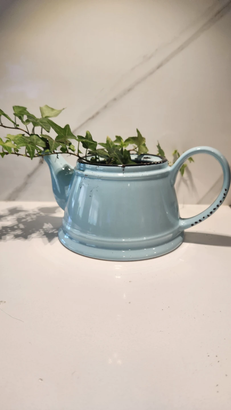Turquoise teapot planter with ivy plant