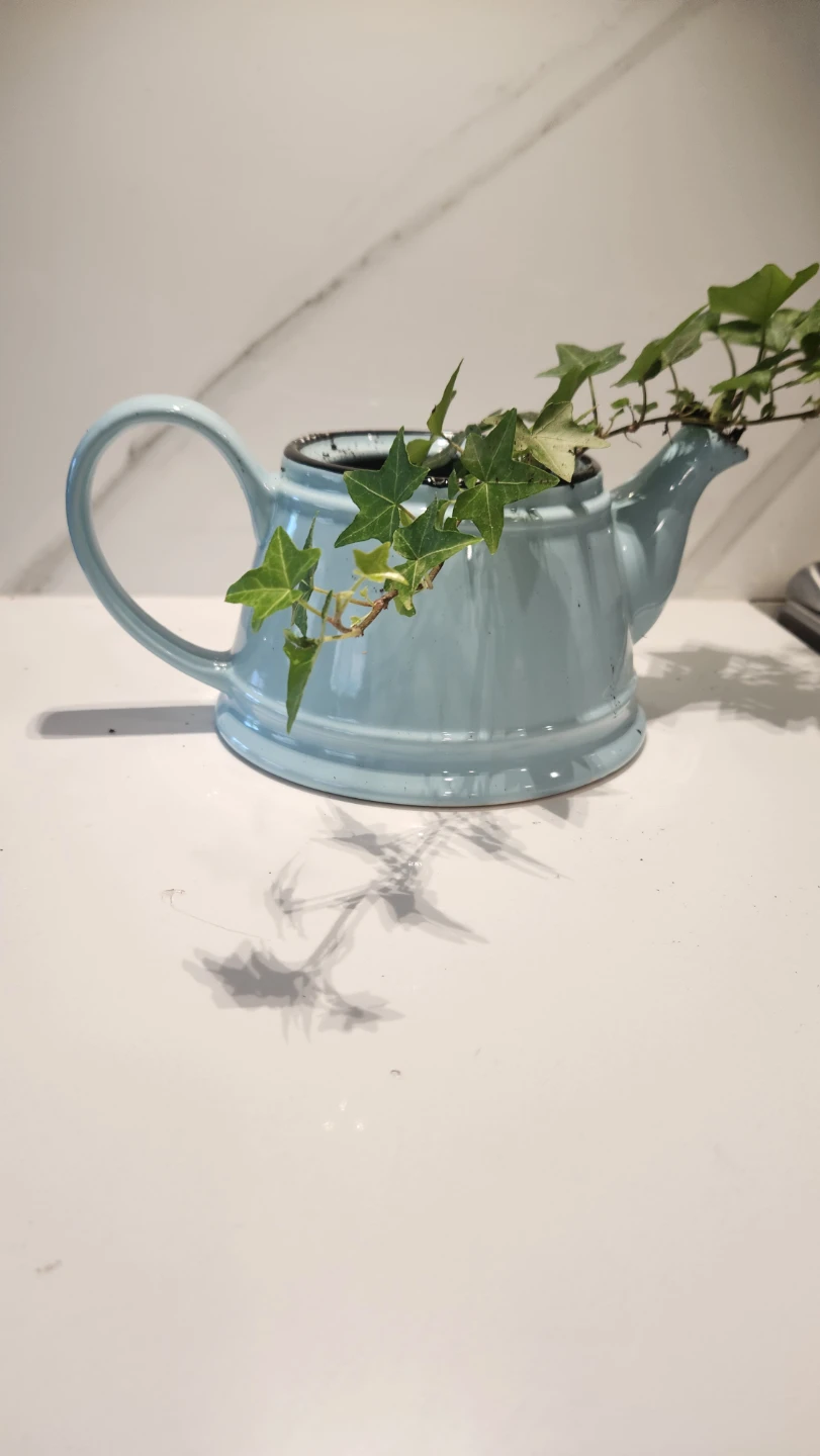 Turquoise teapot planter with ivy plant - photo 3