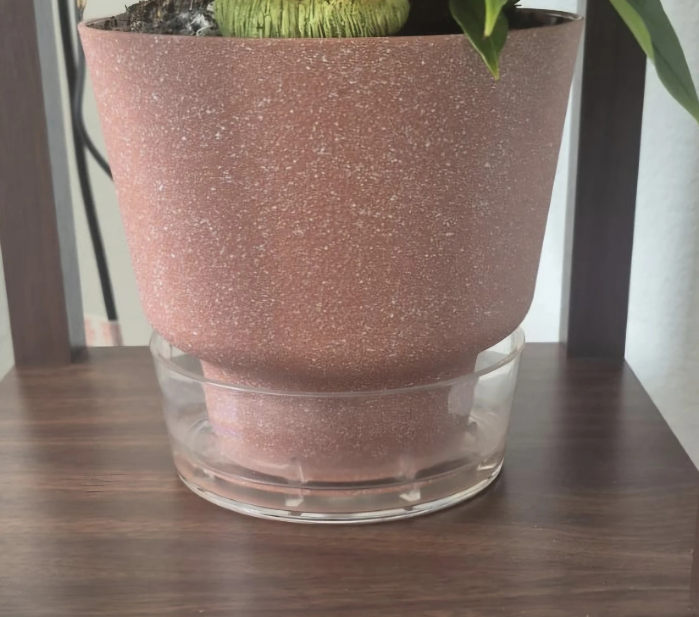 Terracotta Colored Plant Pot with Clear Saucer