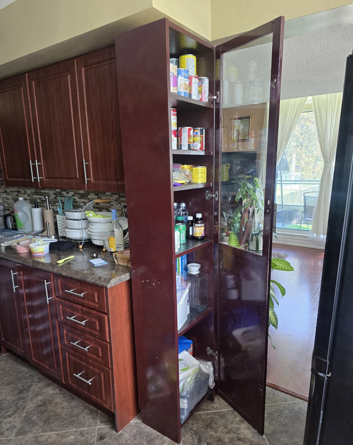 Tall Kitchen Pantry Cabinet with Glass Door - photo 3