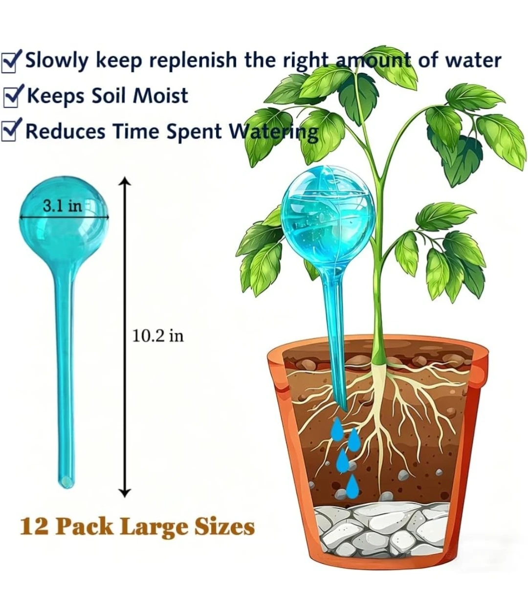 12 Pack Large Plant Self Watering Globes - photo 4