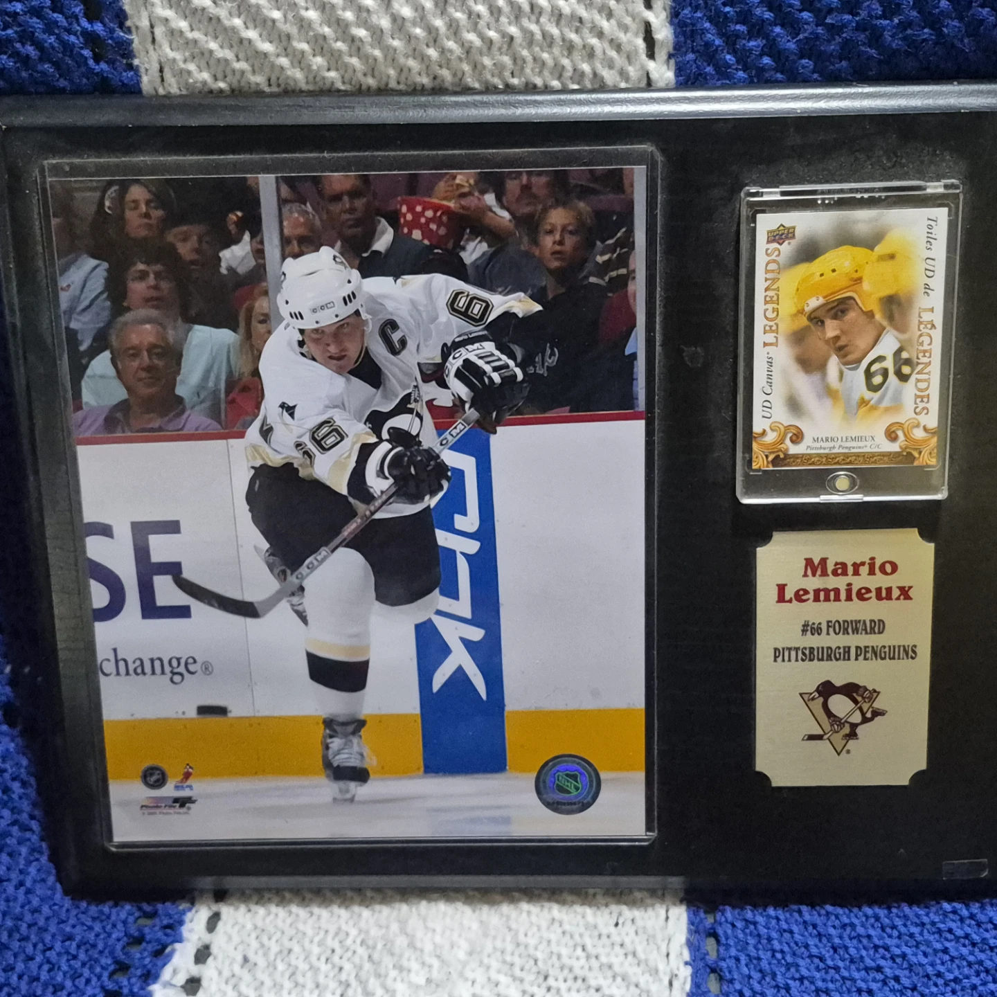 MASSIVE HOCKEY CARD SALE - YGs, UD Canvas, Dazzlers & More