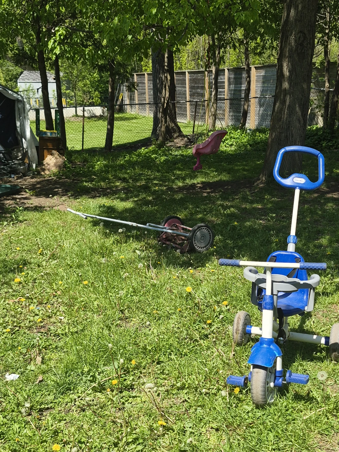 Blue and White Toddler Tricycle