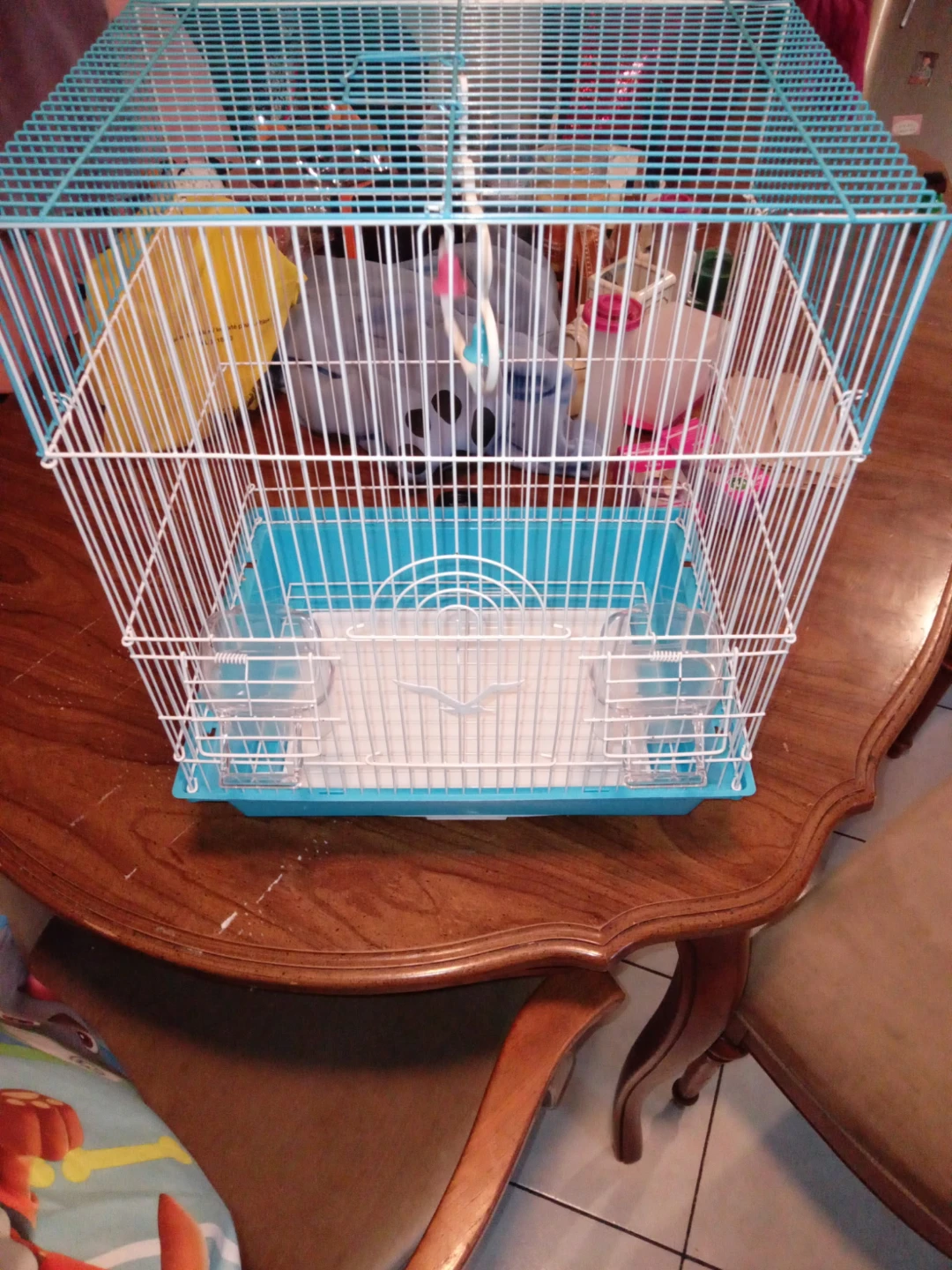 Blue and white bird cage