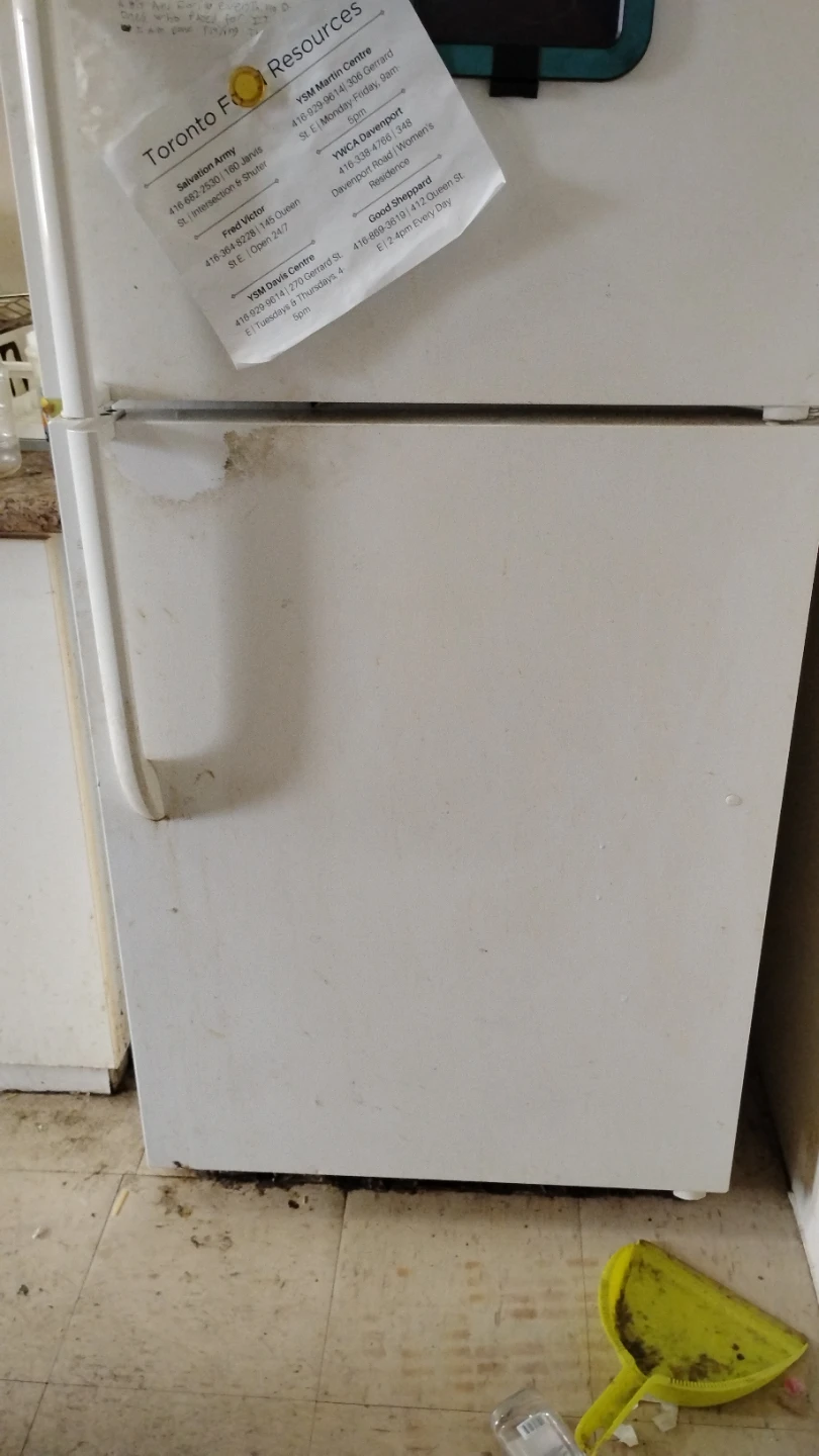 White Top-Freezer Refrigerator