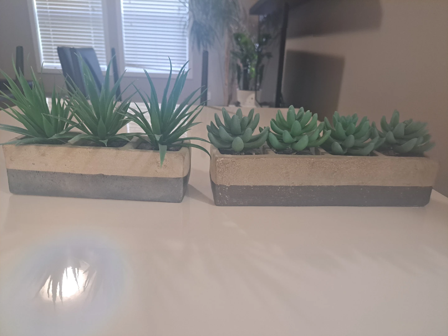 Artificial Succulent Plants in Concrete Planter