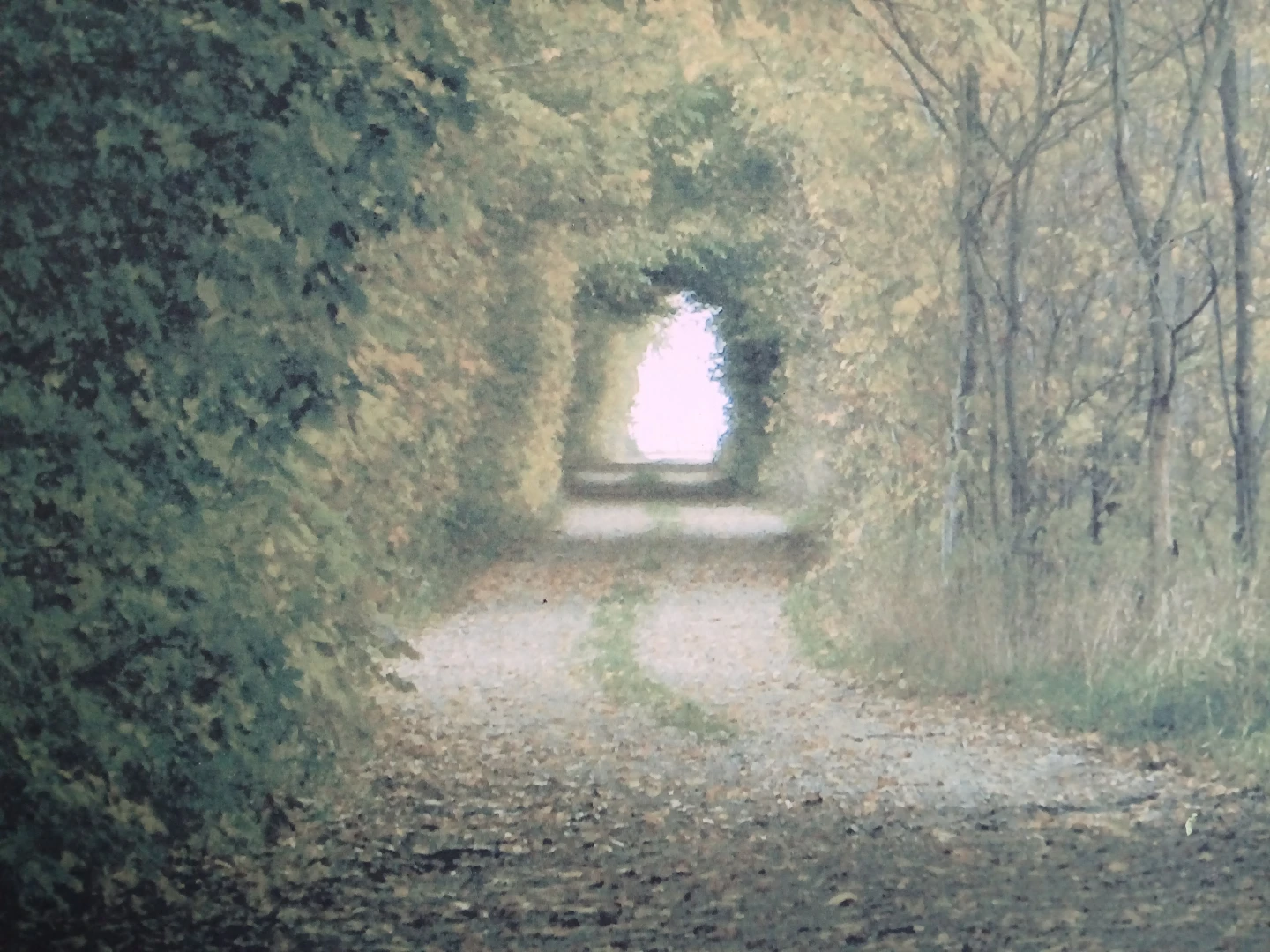" The Other Side " - photo 2
