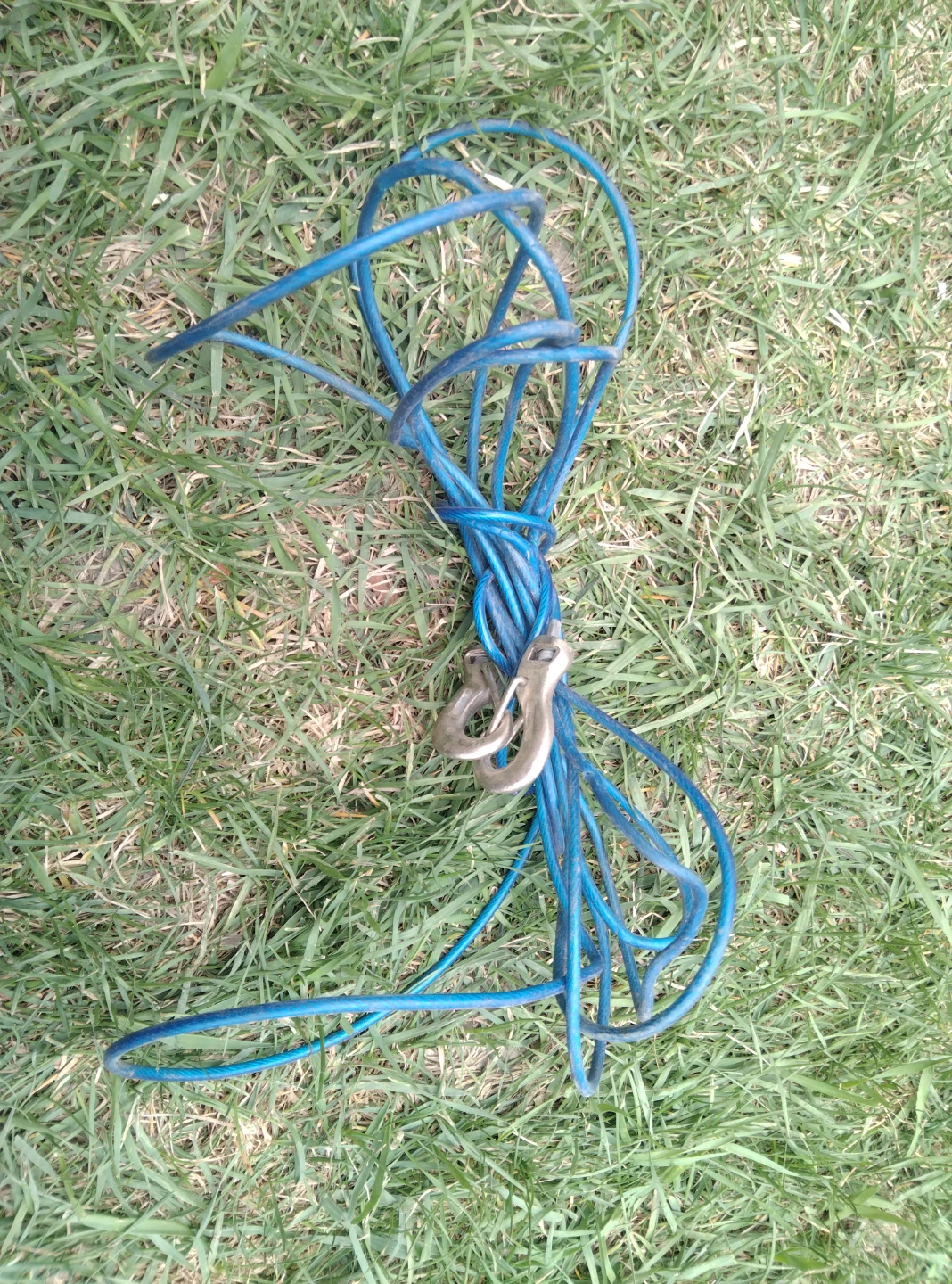 Coated Dog Wire