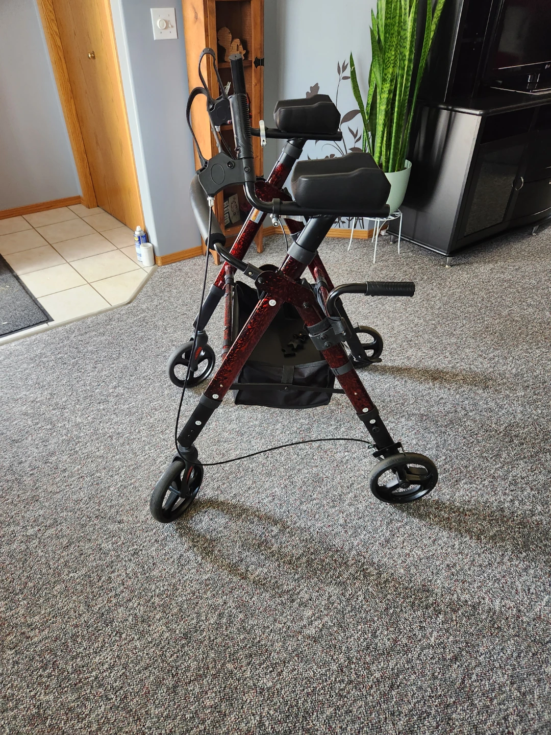 Red Rolling Walker - photo 3