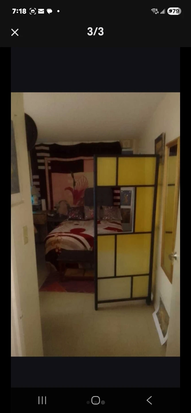 Private furnished Big Room, Immediate Occupancy 12x24Ft + Closet - photo 3