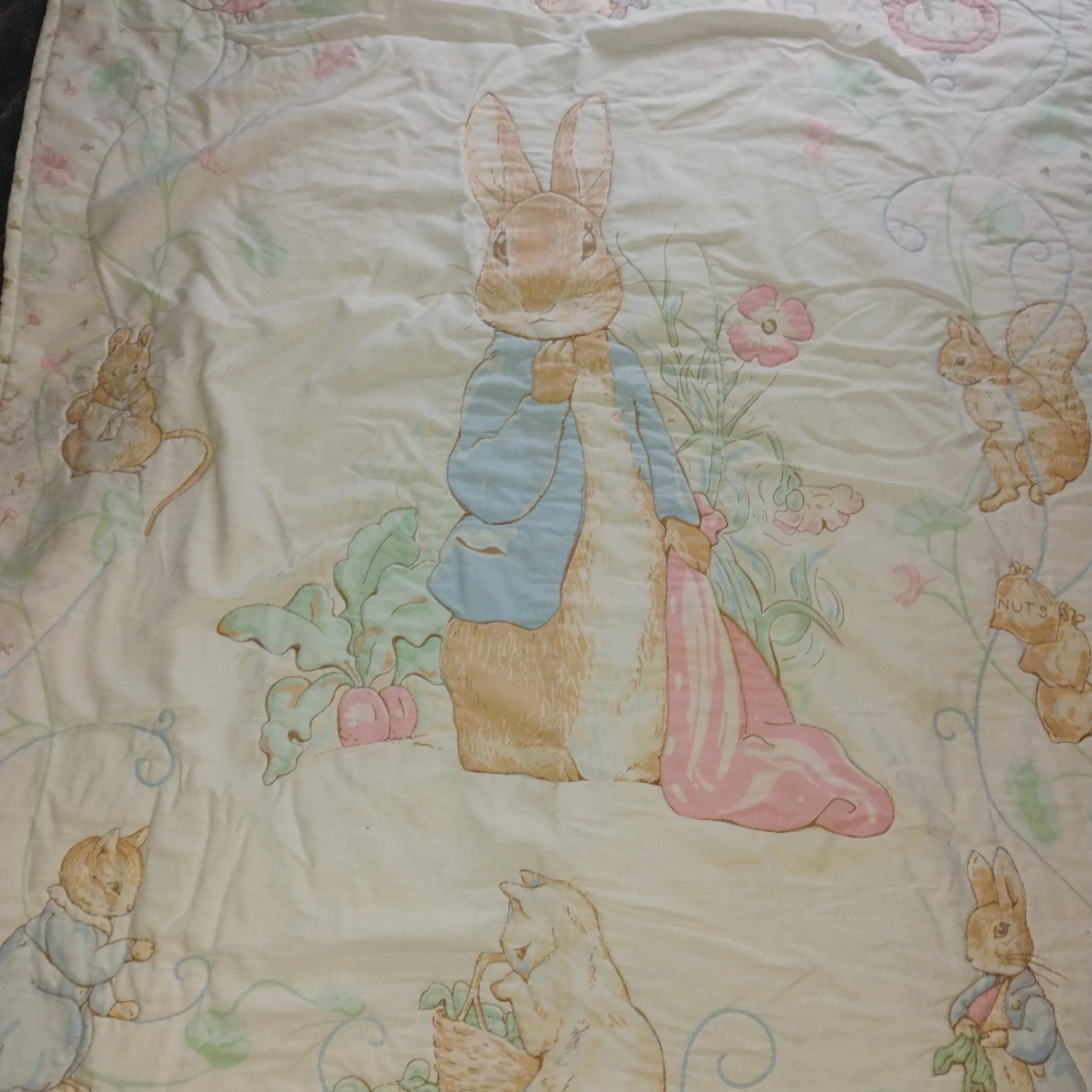 Peter Rabbit Quilt / Blanket - photo 2
