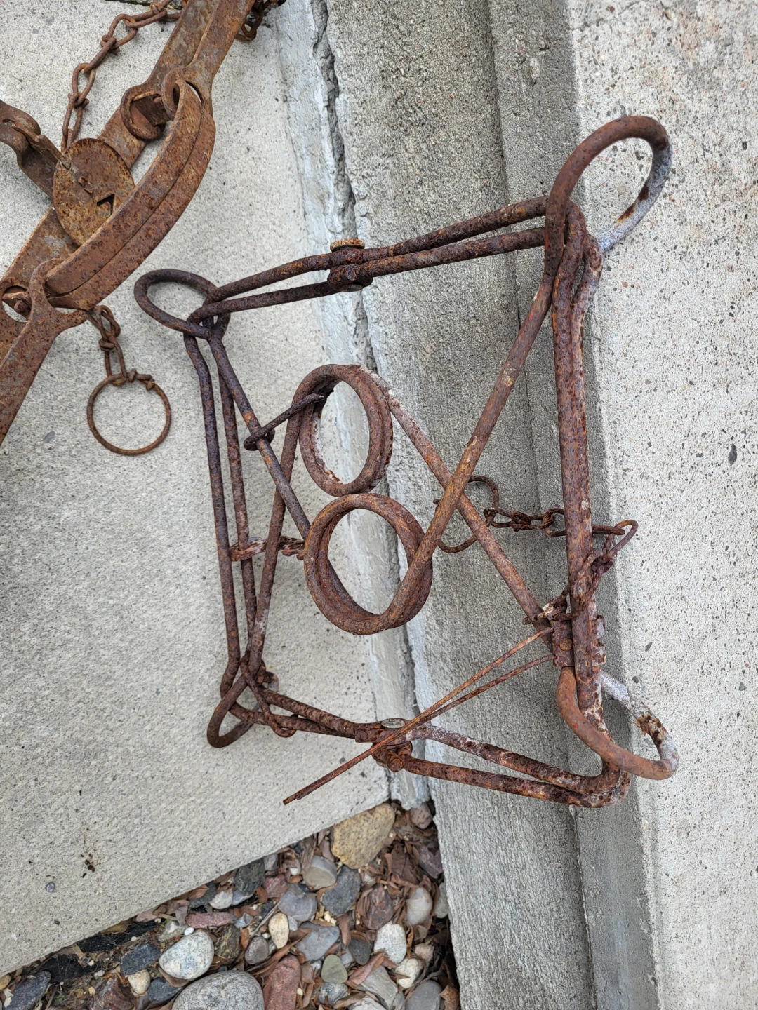 Vintage Decomissioned Metal Animal Traps - photo 4