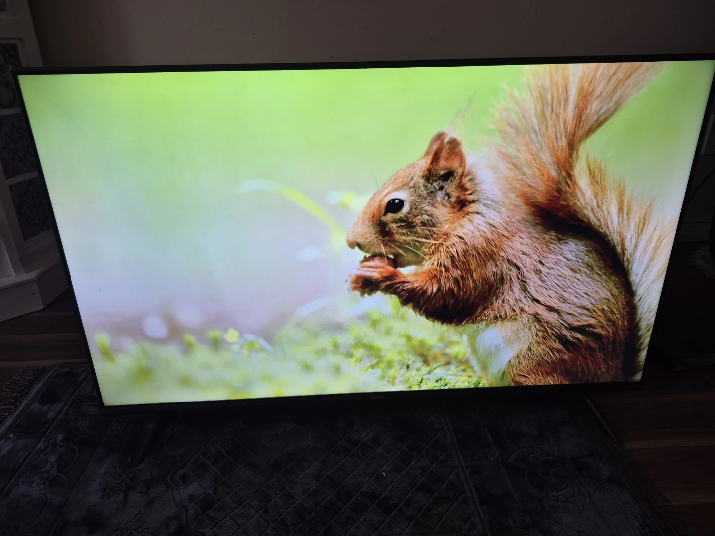 Hisense Google TV 43" 4k smart - photo 4