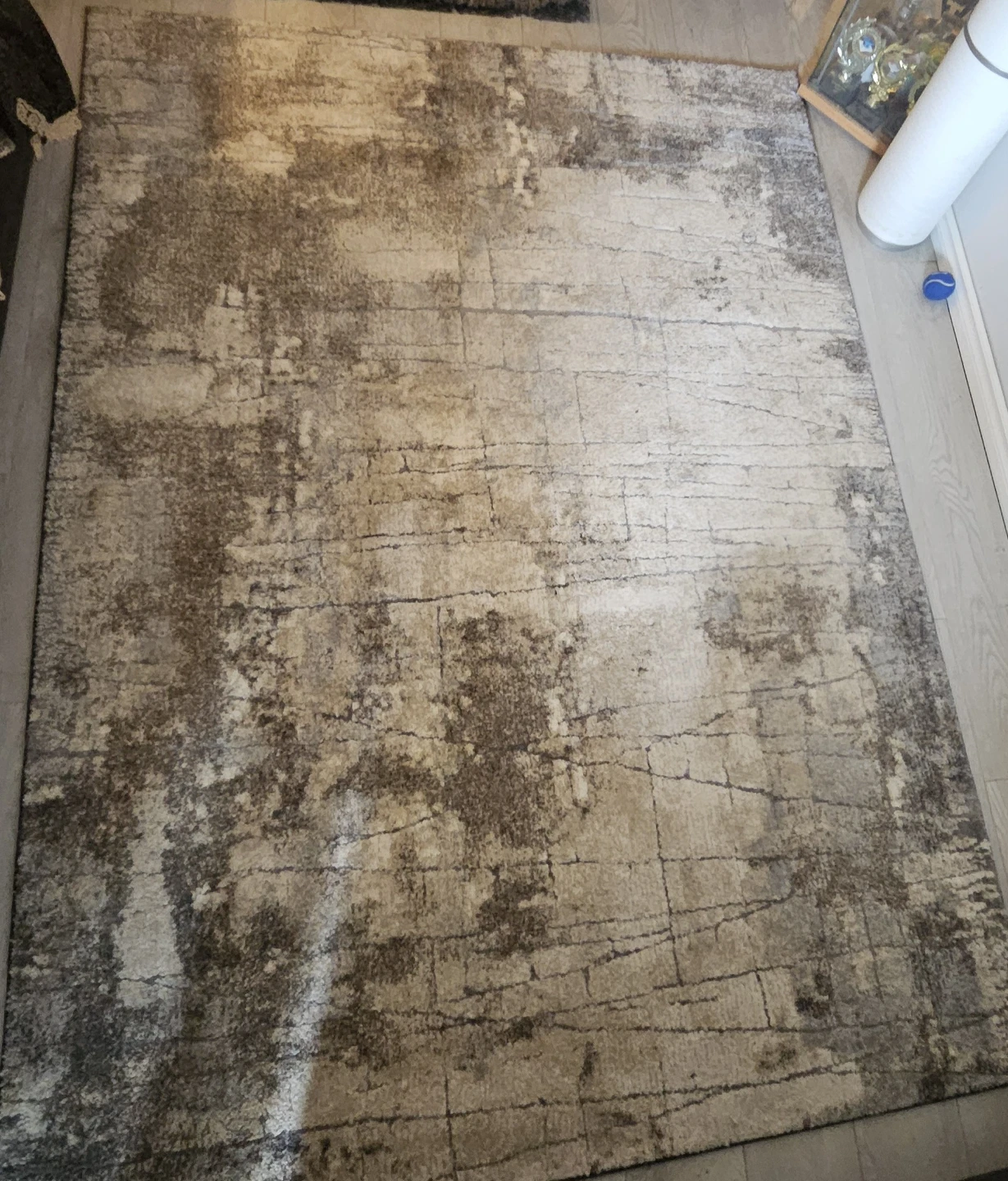 Area Rug - Gray/Neutral/Beige - photo 3