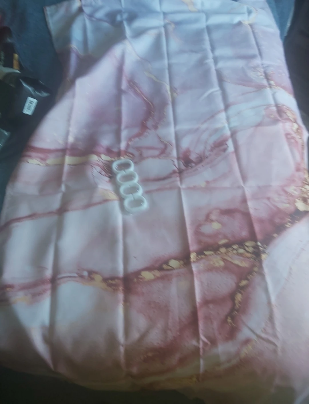 Shower Curtain with Rings and small rug