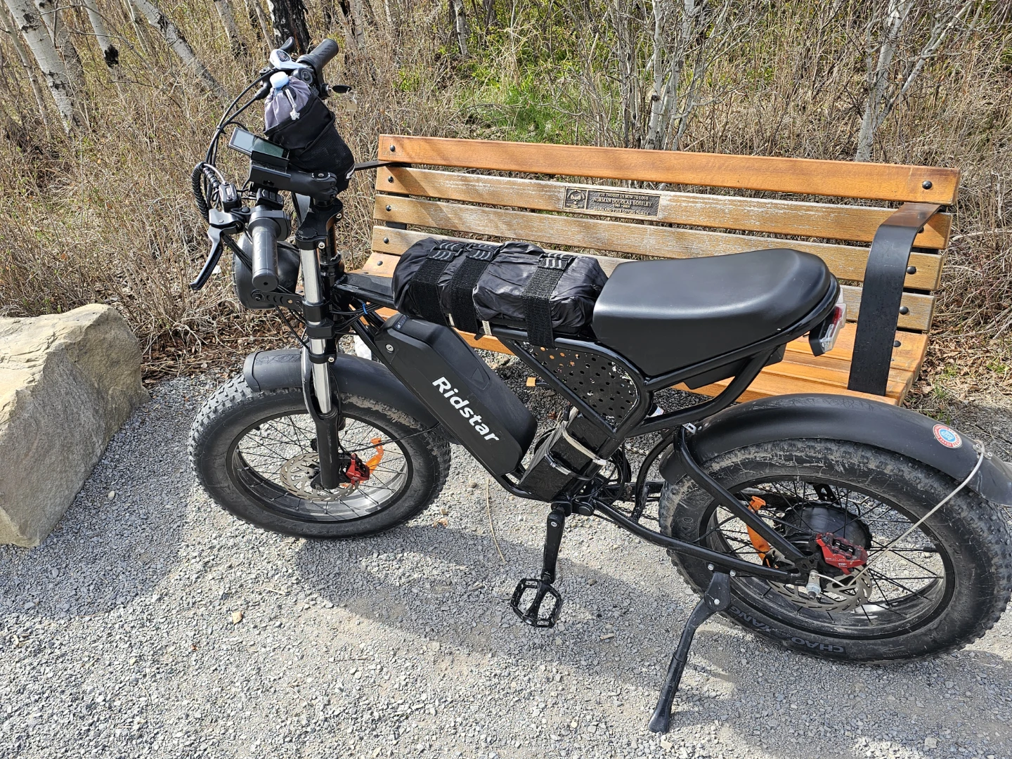 Ridstar Ebike - photo 2