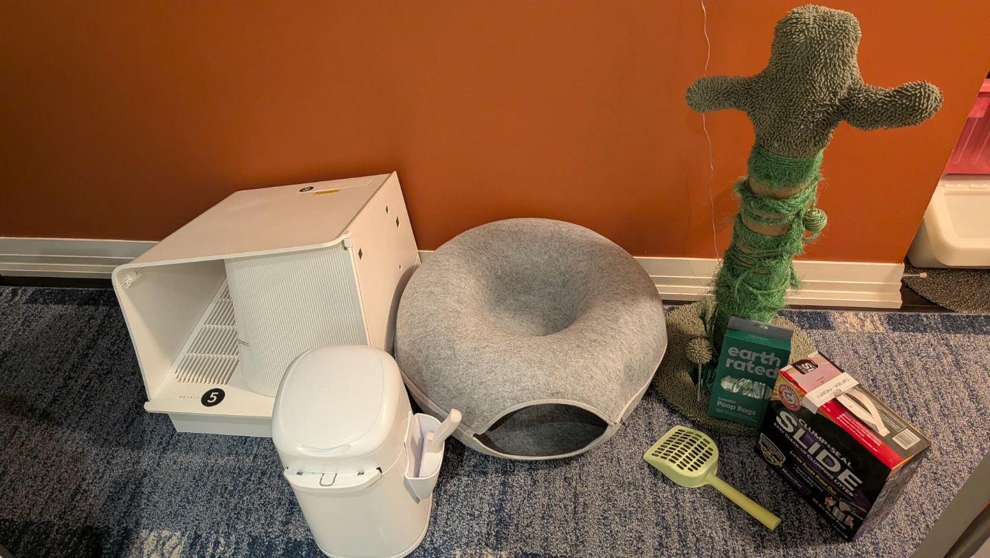Cat Essentials Bundle-Bed, Litter, Tunnel, Post, etc.