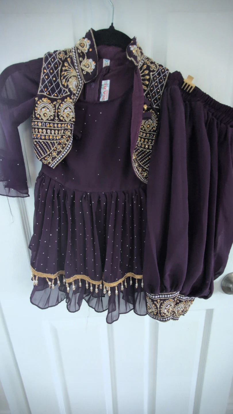 Girls Purple Embroidered Outfit