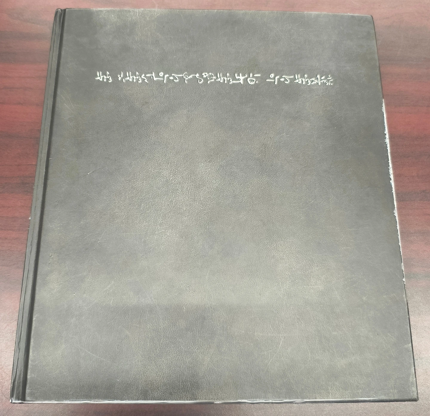 The Official Fringe (tv series) Companion Book,2013