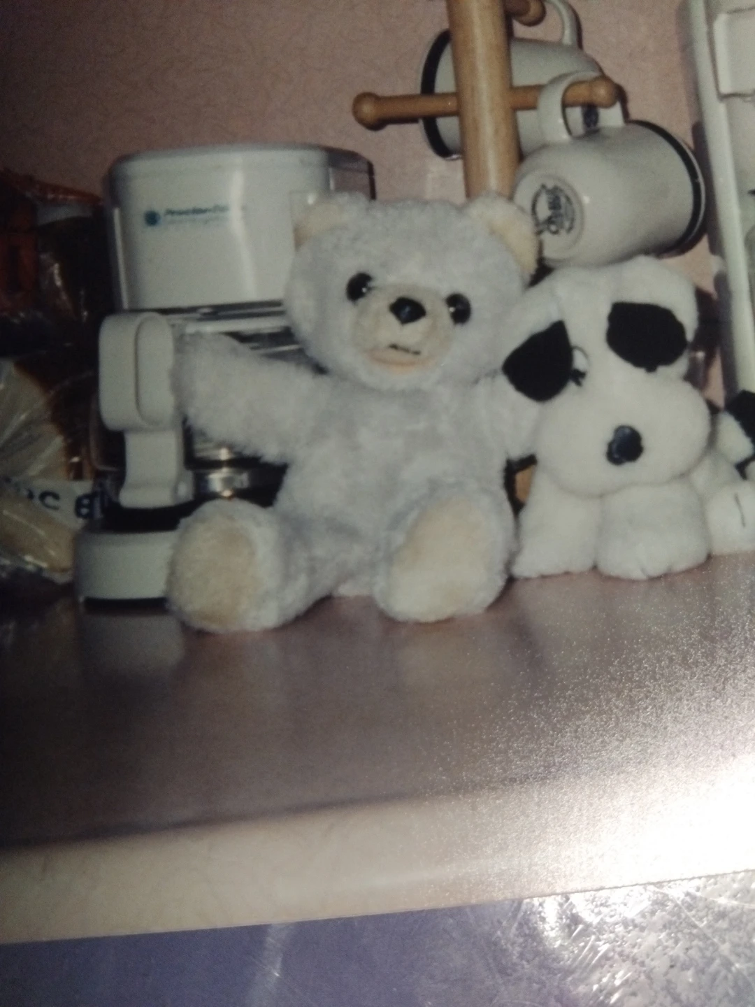 White Teddy Bear aka. Snowball