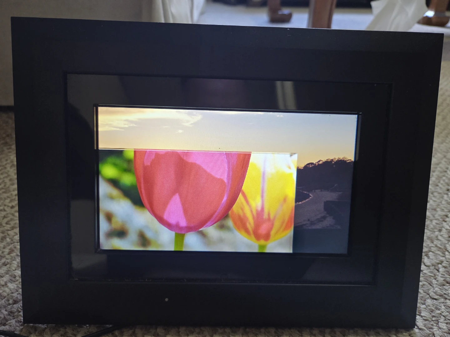 Kodak EasyShare SV811 Digital Photo Frame