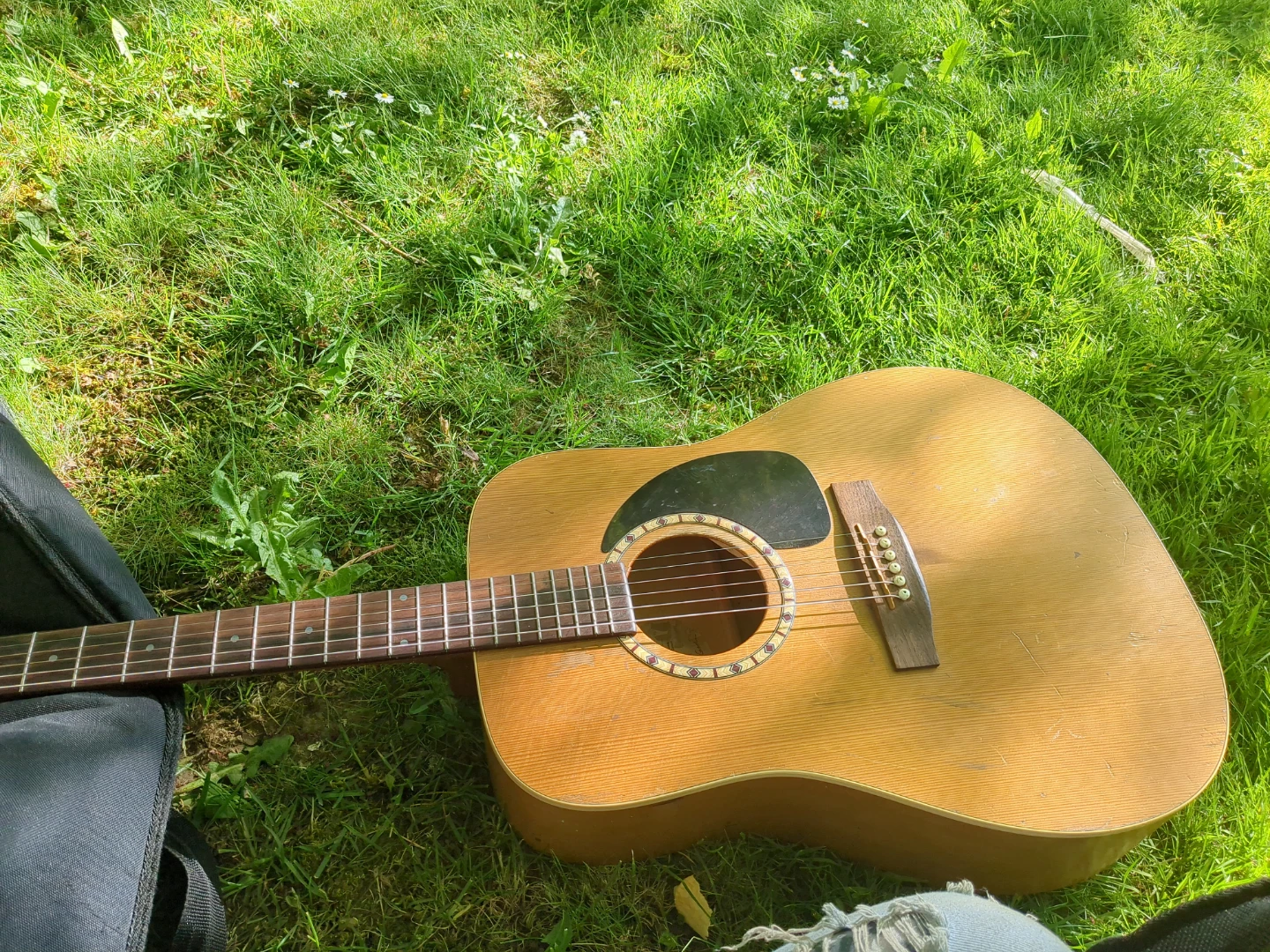 Art Luthierie Acoustic Guitar