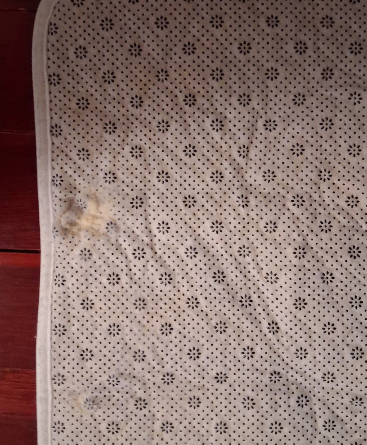 Home Sweet Home Cat Doormat - photo 3