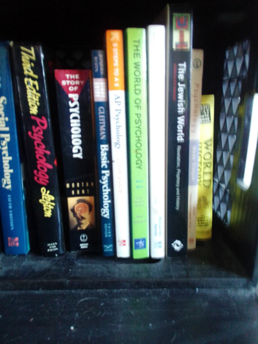 Assorted Psychology and Social Science Books - photo 5