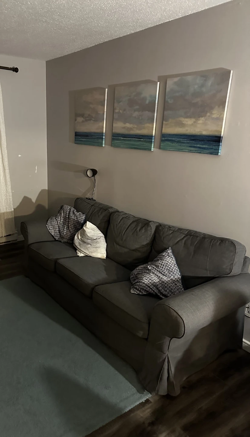 UPPLAND Sofa, Hakebo dark gray - photo 3