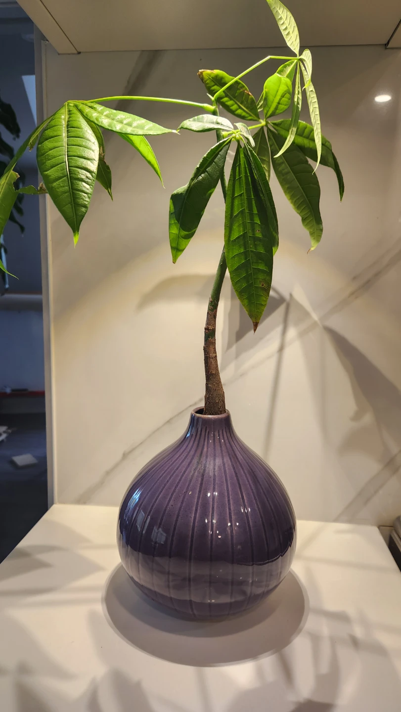 Purple upcycled vase planter with plant