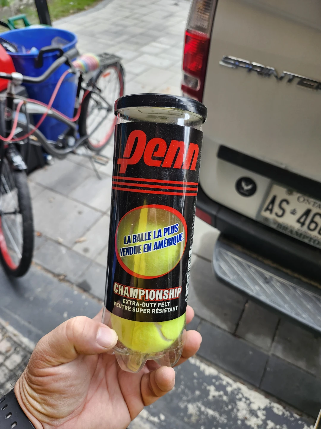 Penn Championship Tennis Balls (3-pack)