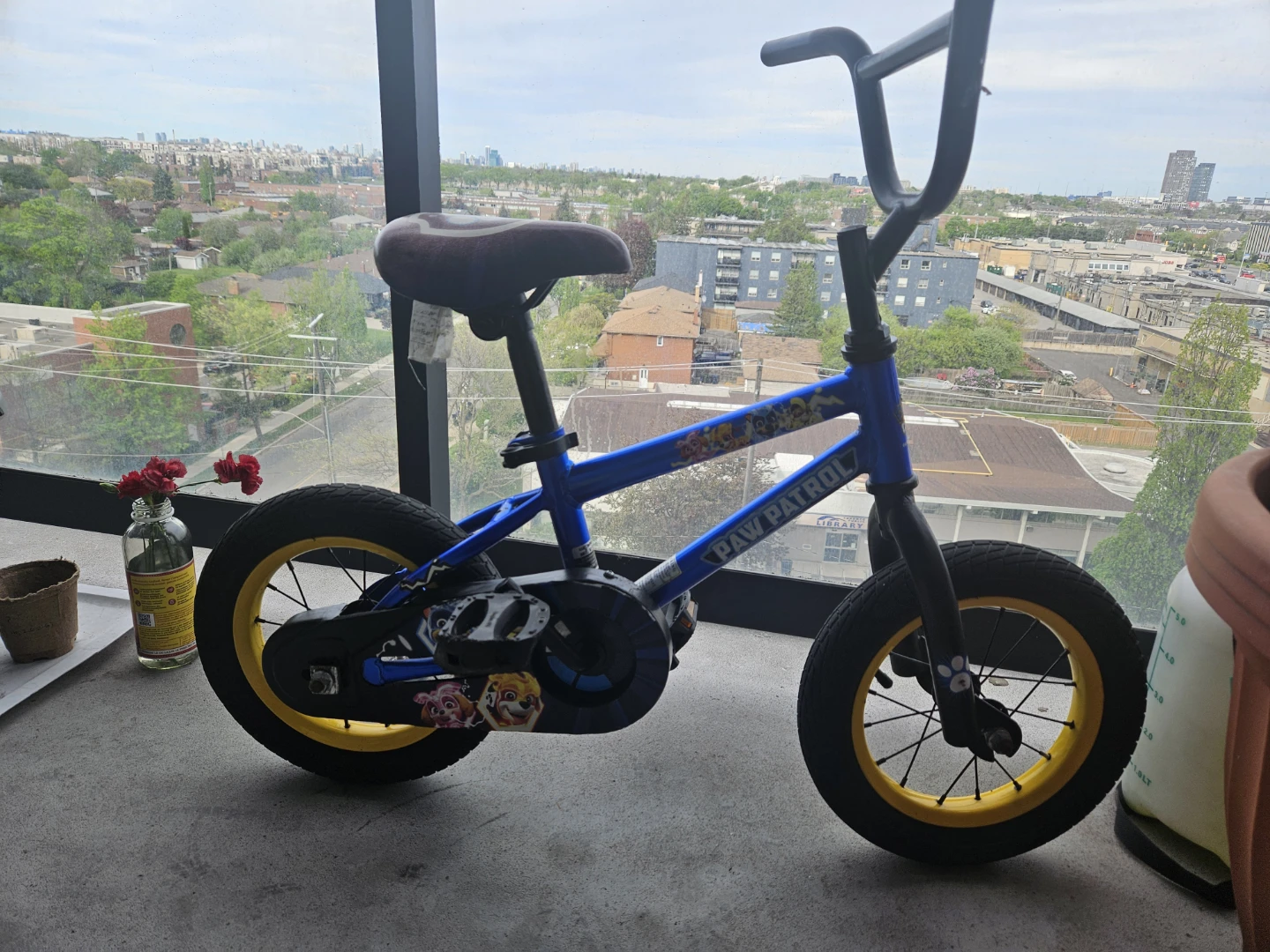 Blue Paw Patrol Kids Bike
