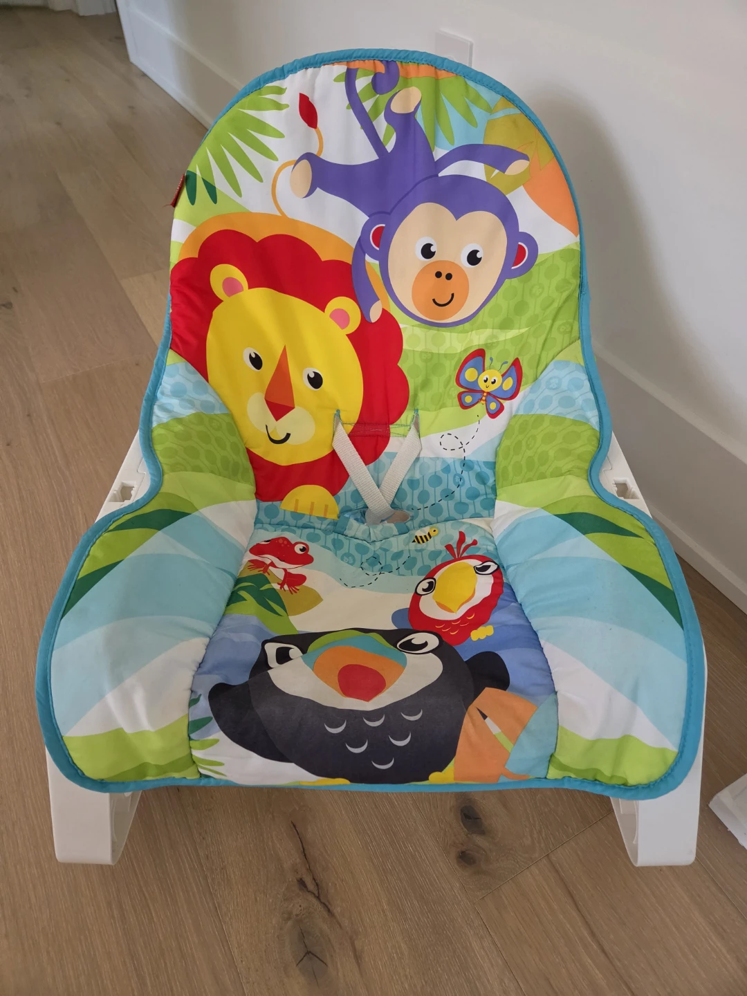 Fisher-Price Baby Bouncer Seat