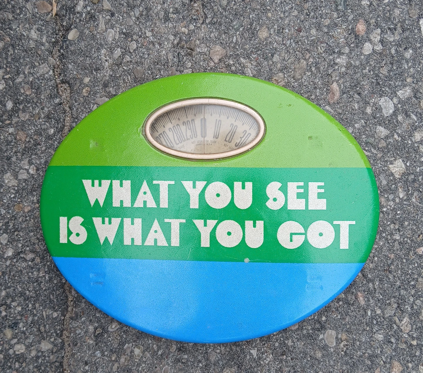Counselor "What You See Is What You Got" Scale
