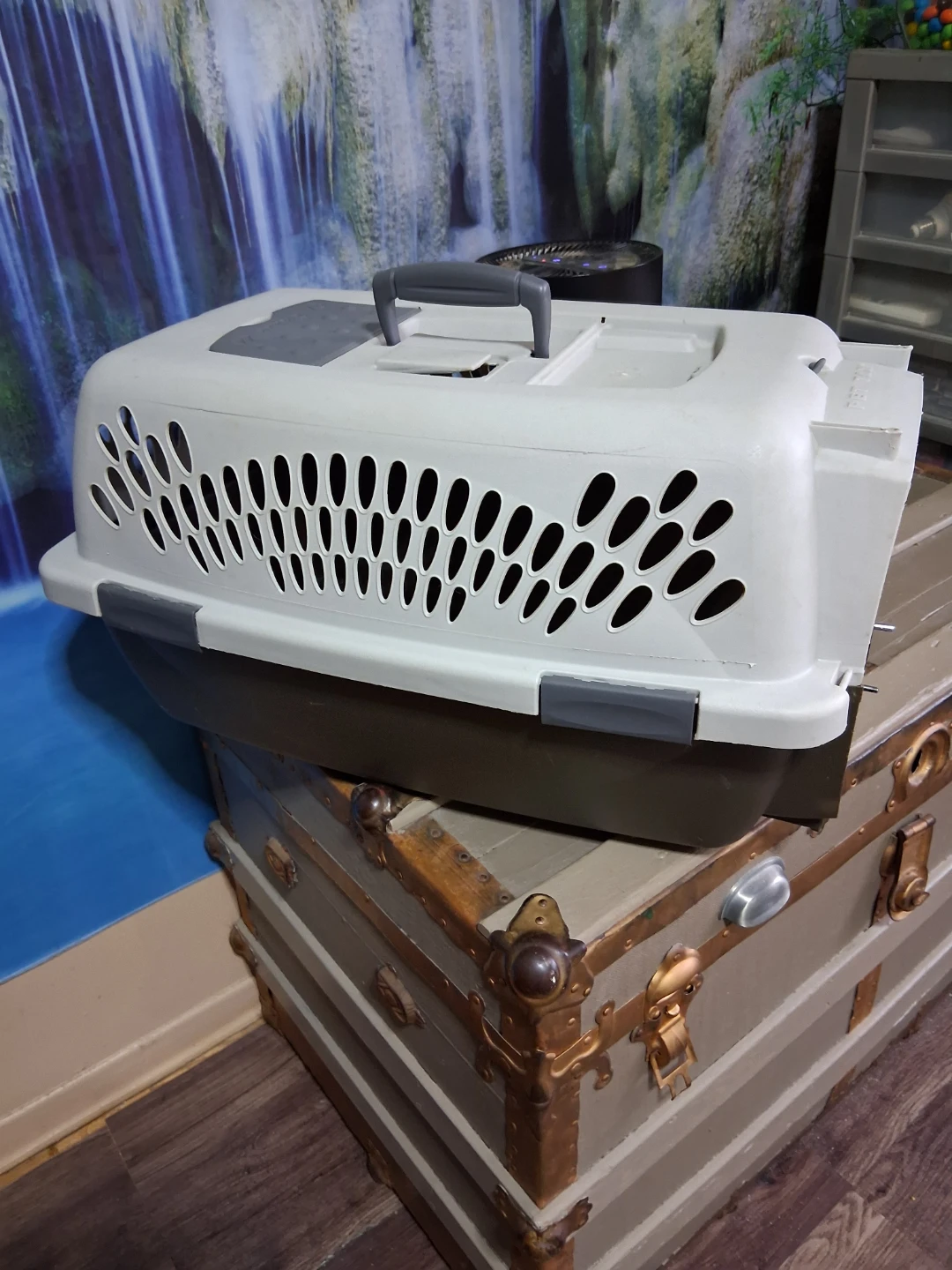 Pet Taxi Pet Carrier