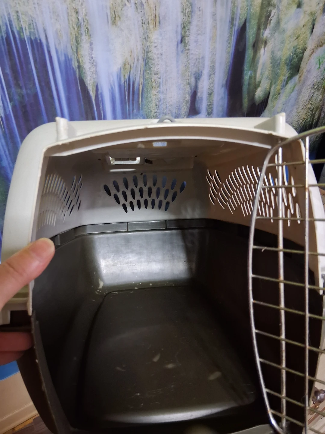Pet Taxi Pet Carrier - photo 2