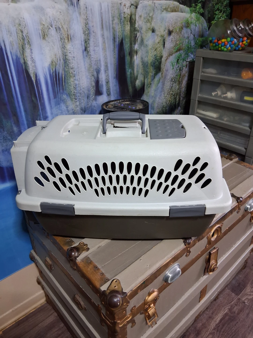 Pet Taxi Pet Carrier - photo 3