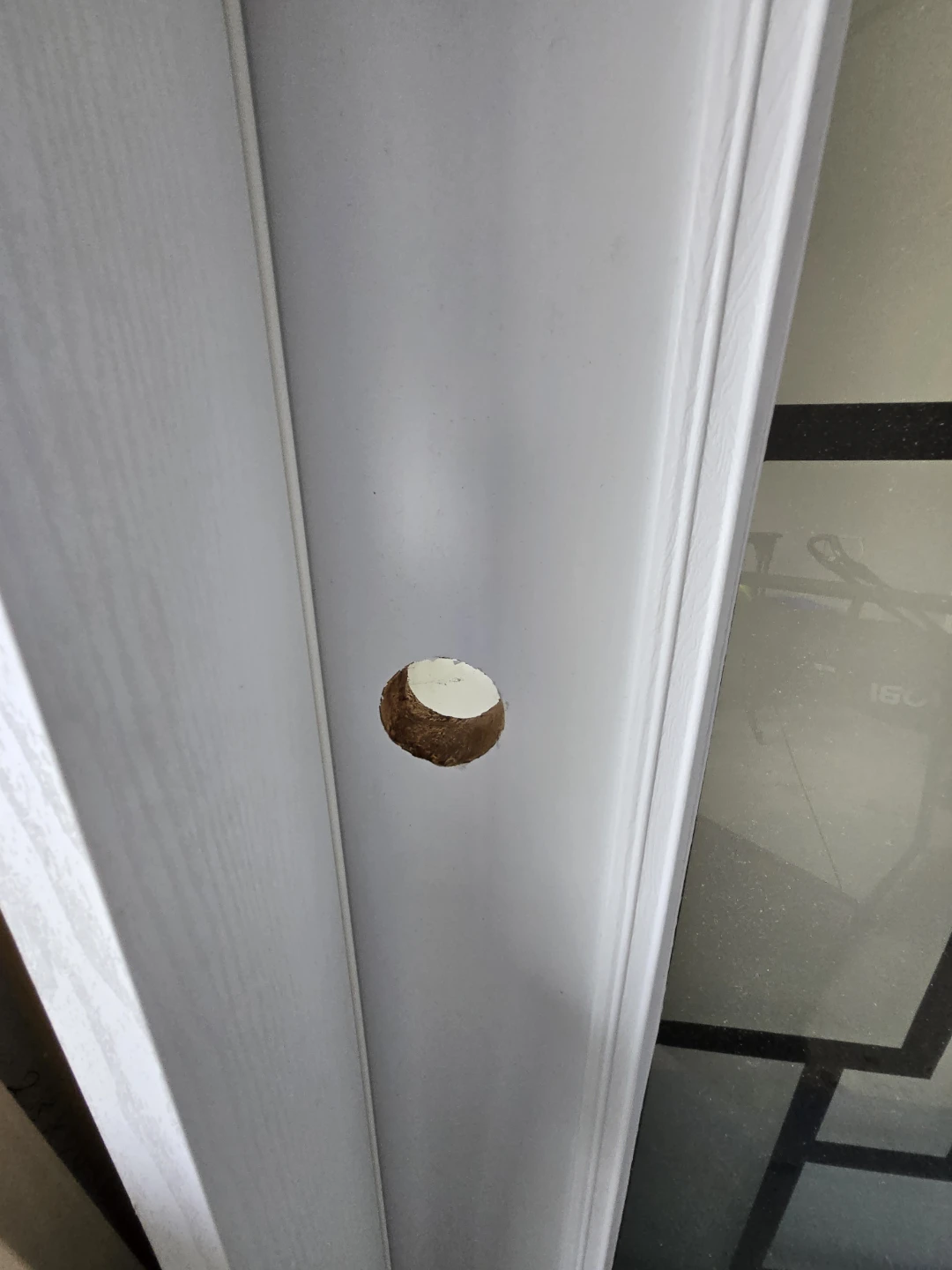 34x80 White exterior door with decorative glass 4.5 jamb - photo 2