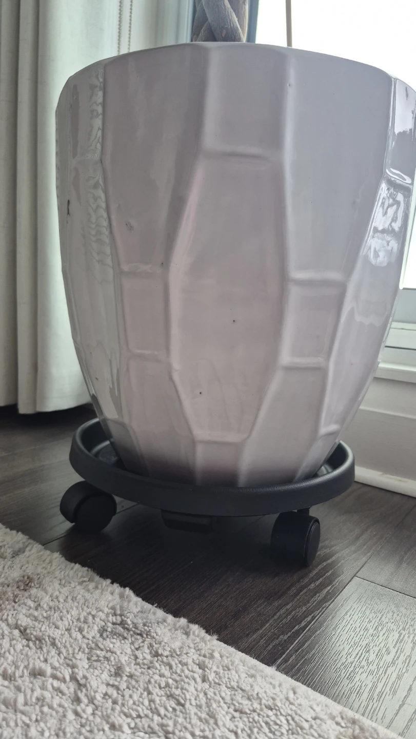 White Ceramic Pot with FREE Roller Stand, Soil and Tree - photo 5