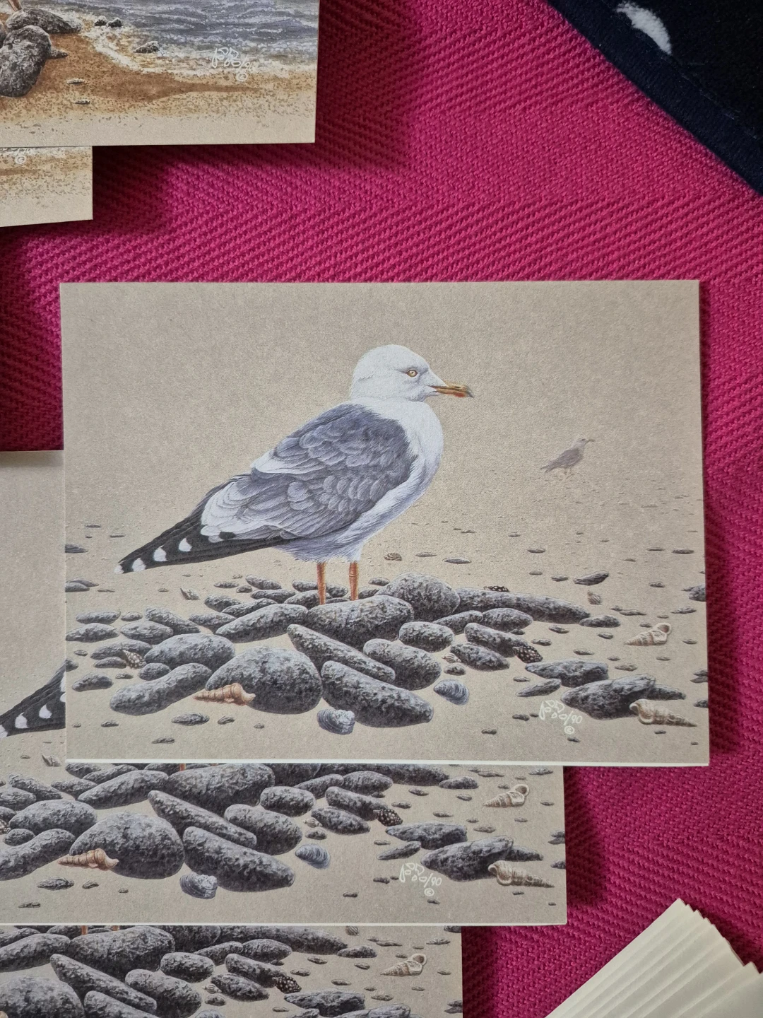 9 Bird Cards by the Canadian Wildlife Federation NEW - photo 3